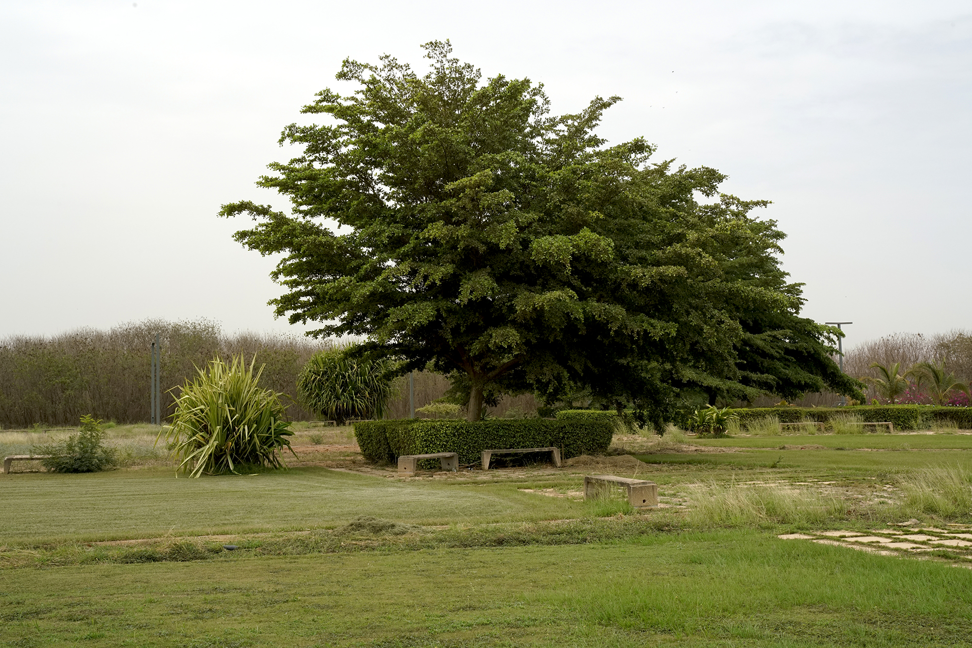 ?